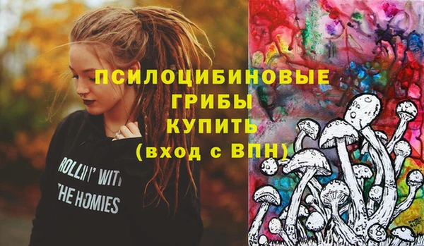 прущие грибы Армянск